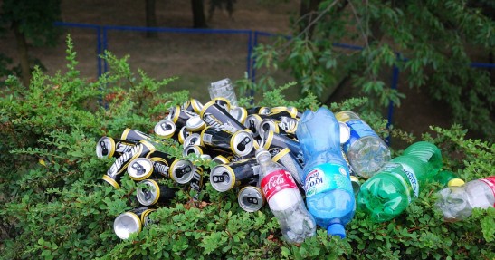 N-Gine Renault F1 Team Show